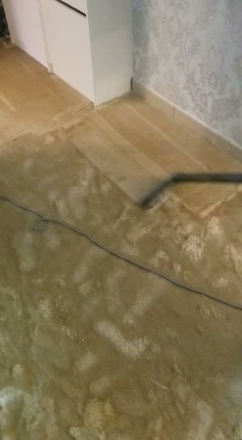Carpet Stain Removal Dubai — Professional Spot Treatment