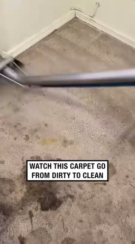 Carpet Steam Cleaning Dubai — Professional Deep Steam Extraction